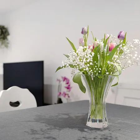 Hochwertige Apartamento Ötigheim